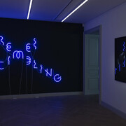 Yael Bartana, If you will it, it is not a dream, ausstellungsansicht. Mit freundlicher genehmigung der Galerie Peter Kilchmann