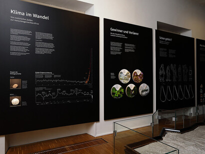 Schnee war gestern, ausstellungsansicht. Mit freundlicher genehmigung des Naturhistorischen Museums