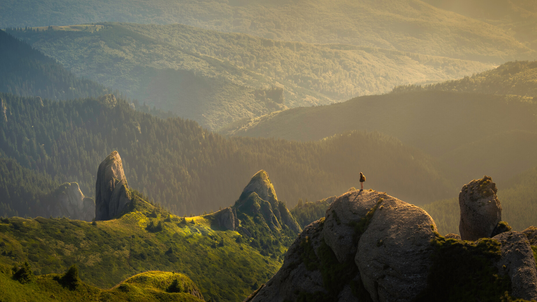 Il migliore dei mondi possibili Meer