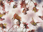 Wangechi Mutu, Cassandra (detail), 2007. Courtesy of Cristin Tierney Gallery