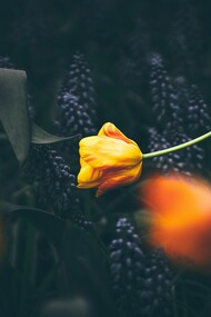 Hay personas que no sienten atracción sexual