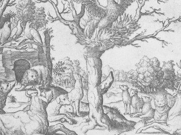 Fenice che brucia su un albero, incisione, circa 1530-1560