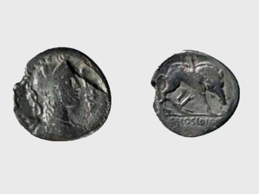 Denario di P. Crepusius. D/ Busto drappeggiato di Diana a d., con arco e faretra sulla spalla; a d. GETA; a s. III VIR. R/ Cinghiale a d. colpito da una lancia e attaccato da un cane; in esergo C. HOSIDI. Inv. 1455504/20. Museo Archeologico di Napoli, Italia