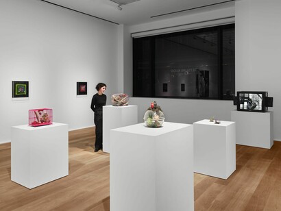 Tetsumi Kudo, Microcosms, exhibition view. Courtesy of Hauser & Wirth Gallery