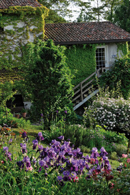 Orto dell’agriturismo La Traversina e fioritura primaverili di iris e rose. Foto di Enzo Valenti