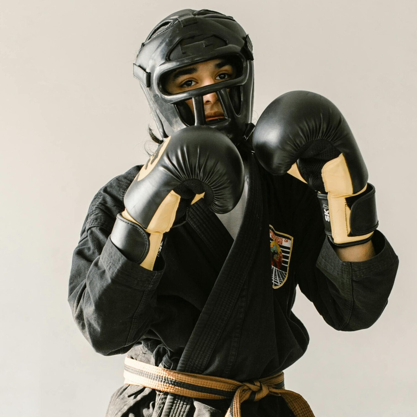 Lutas, artes marciais e esportes de combate | Meer