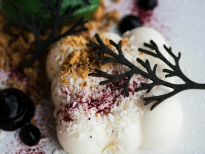 Un dessert magnifiquement servi sur une assiette comprenant du chocolat, de la glace et de la sauce aux baies