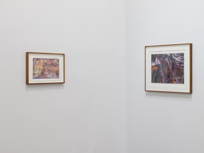 Kristy Chan, Short letter, long farewell, exhibition view. Courtesy of Sean Kelly Gallery