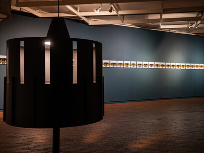 Sair García, Secuencias. La imagen-montaje, vista de exhibición. Cortesía del MAMBO