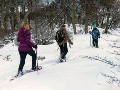 Caminar por estos parajes es adentrarse en una naturaleza casi intacta, donde el frío y el silencio recuerdan constantemente que uno está, literalmente, en el fin del mundo. Ushuaia, Argentina
