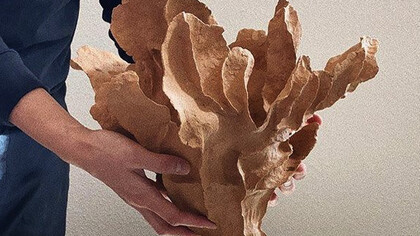 "Como diseñador gráfico, estaba acostumbrado a trabajar frente a una computadora todo el tiempo. Trabajar con cerámica te permite crear algo tridimensional, palpable y que se puede terminar en ese mismo instante. Esto era algo completamente diferente para mí