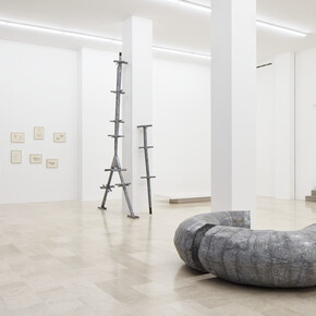 Ana Lupas, Armature, exhibition view. Courtesy of P420 