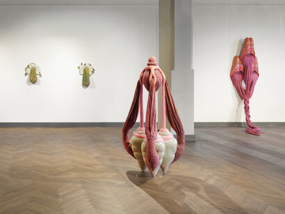 Zsófia Keresztes, The chamoile protocol, ausstellungsansicht. Mit freundlicher genehmigung des König Telegraphenamts