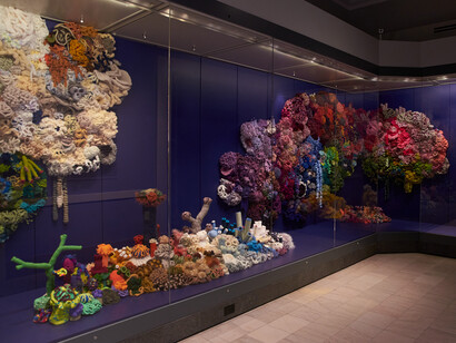 Christine and Margaret Wertheim, Pittsburgh satellite reef, exhibition view. Courtesy of Carnegie Museum of Art
