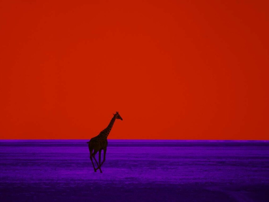 Sound and sight. Pete Turner's jazz album covers | Meer