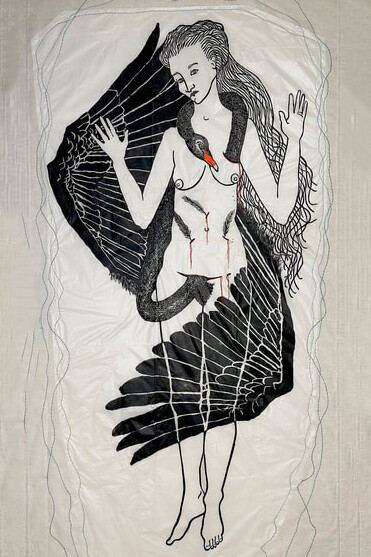 Audrey Niffenegger, Leda black swan, 2025. Courtesy of Zolla Lieberman Gallery