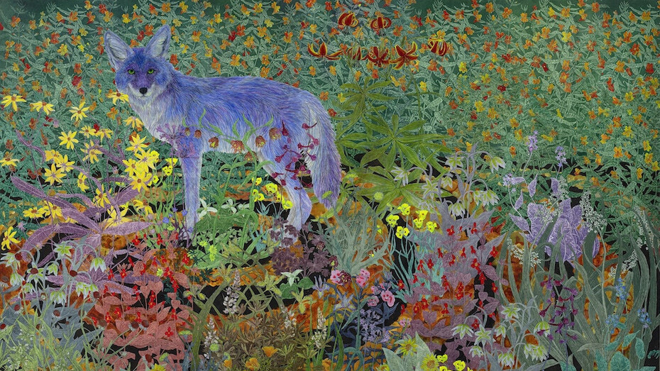Julia Lucey, Coyote in the oak manor labyrinth (detail), 2025. Courtesy of Wally Workman Gallery