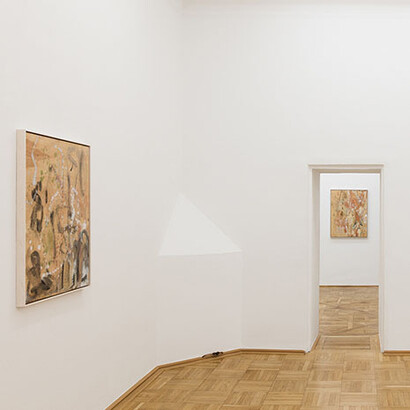 Photo: Markus Wörgötter, Courtesy Galerie nächst St. Stephan Rosemarie Schwarzwälder