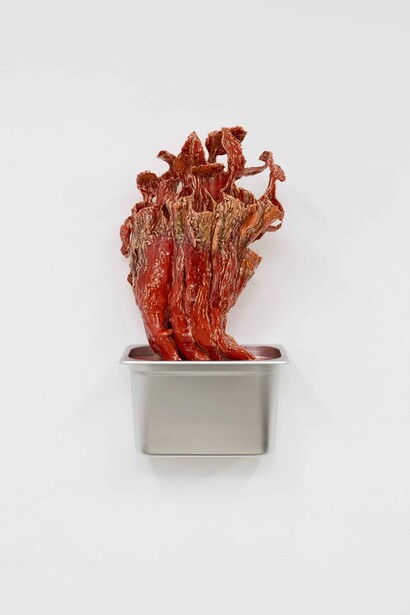 Gerrit Frohne-Brinkmann, Carnivores. Courtesy of Beige Gallery