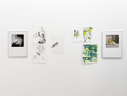 Various artists, Hay un pájaro azul en mi corazón (There’s a bluebird in my heart), exhibition view. Courtesy of Gallery Hache 