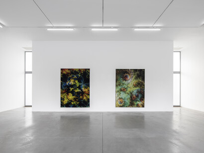 Thomas Ruff, exhibition view. Courtesy of Lia Rumma Gallery