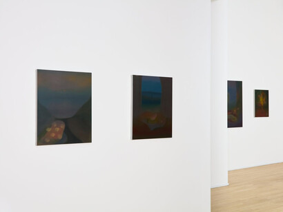 Michelle Wasson, Songs of the Marauder, exhibition view. Courtesy of Andrew Rafacz 