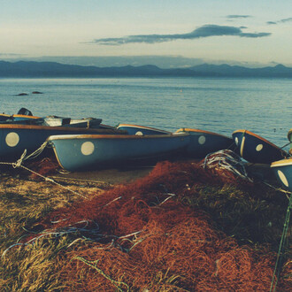 Koji Onaka, Aomori Natsudomari (detail), 2021. Courtesy of Blue Lotus Gallery