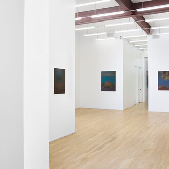 Michelle Wasson, Songs of the Marauder, exhibition view. Courtesy of Andrew Rafacz 