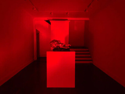 Tura Oliveira, God of accidents, exhibition view. Courtesy of Geary Contemporary 