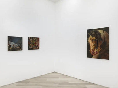 Sabrina Bockler, Impending rapture, exhibition view. Courtesy of Beers