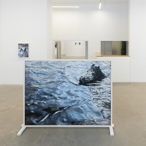 Philipp Fröhlich, La cavale, vista de exhibición. Cortesía de la Galería Juan Silió 