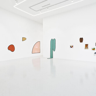Nicolas Momein, Nails in the mouth, exhibition view. Courtesy of Ceysson and Bénétière