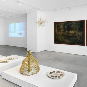 Edo Costantini, Delfina Braun y Delfina Muniz Barreto, Solsticio de invierno: semillas de la nada, vista de exhibición. Cortesía de Praxis