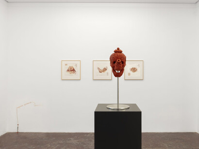 Jan Fabre, La materialización del amor, exhibition view. Courtesy of NF/Nieves Fernández Gallery