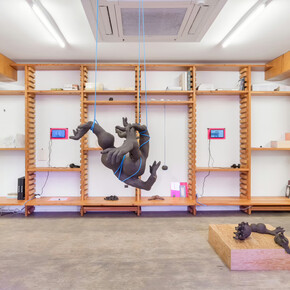 Constanza Alarcón Tennen, Tu, yo, y todo el viento entremedio, exhibition view. Courtesy of Nina Johnson 