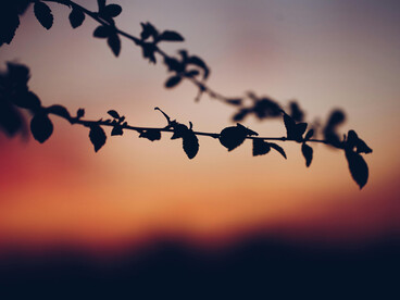 Crecer implicó enfrentar mis miedos, validar mi voz y comprender que mi valor no depende de la aprobación de nadie más