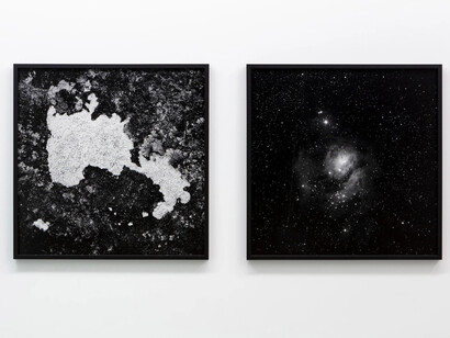 David Haines and Joyce Hinterding, Ether, exhibition view. Courtesy of Sumer Gallery