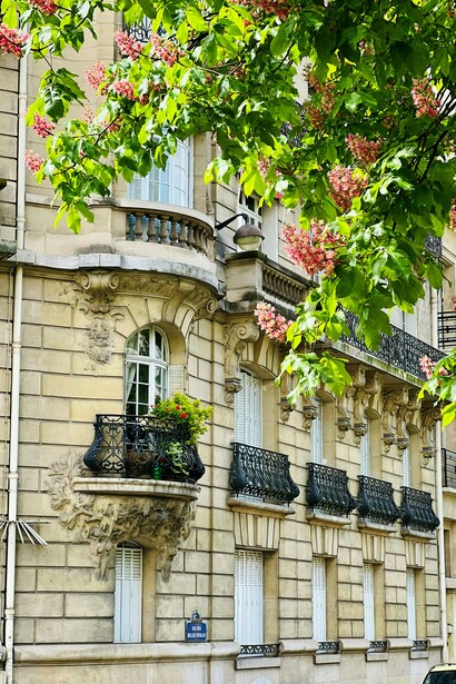 A glimpse of one of the stunning apartment buildings in the heart of my beloved Paris, France