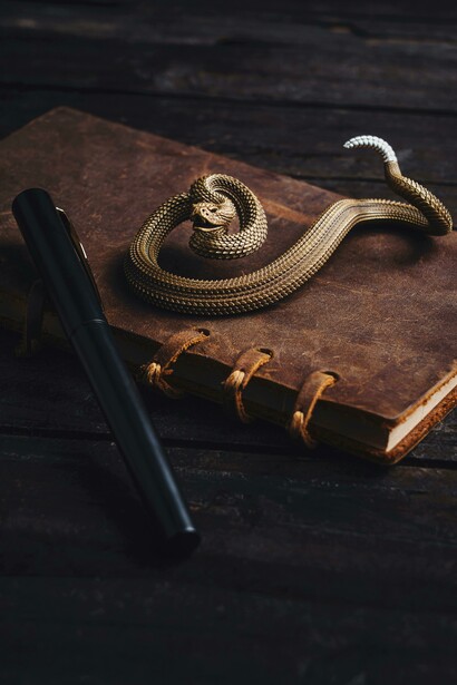 A soft-toned flat lay of a love letter and envelope with elegant handwriting, paired with a bronze snake detail—capturing the beauty of memory and longing