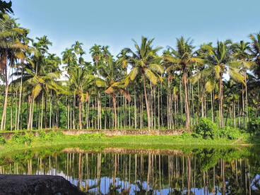 The peaceful backwaters of Alappuzha, Kerala—God’s Own Country—glistening under a moody, cloud-filled sky, India