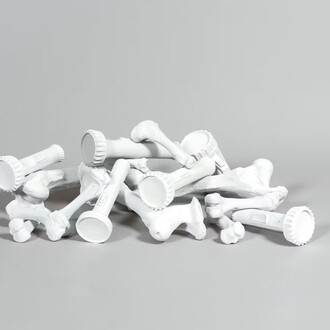 Barrão, Huesos y linternas, 2015. Cortesía del MON - Museu Oscar Niemeyer