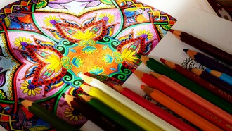 A ansiedade social pode limitar oportunidades valiosas: de conquistar o emprego dos sonhos a fazer amizades ou se abrir para relacionamentos afetivos. A boa notícia é que há caminhos para lidar com ela. Em Ansiedade social: enfrentando seus medos e aproveitando os contatos sociais com a terapia cognitivo-comportamental, o especialista em TCC Stefan G. Hofmann oferece técnicas comprovadas para transformar o medo em segurança emocional