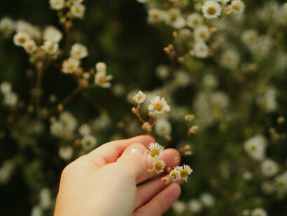 Pessoa aprecia pequenas flores delicadas. Essa é a essência da reverência: um corpo que agradece, mesmo no escuro. Uma alma que escuta, mesmo quando tudo está silencioso



