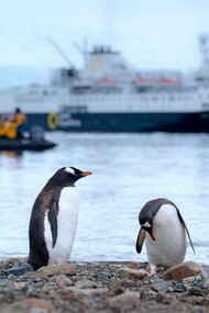 Ricerca scientifica in Antartide: la 39esima campagna italiana con la nave Laura Bassi