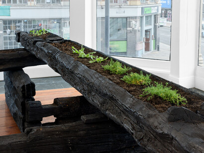 Augustas Serapinas, Potatoes and chamomile, exhibition view. Courtesy of Emalin Gallery