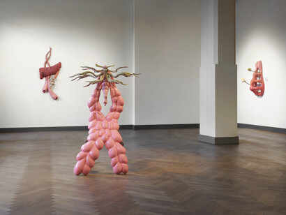 Zsófia Keresztes, The chamoile protocol, ausstellungsansicht. Mit freundlicher genehmigung des König Telegraphenamts