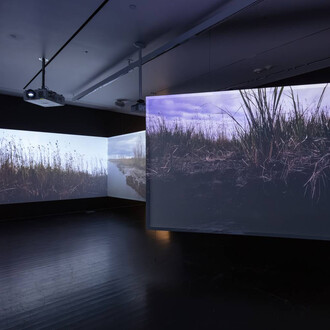 Deborah Jack, La posesión de estuarios… una secuela de confluencia, vista de exhibición. Cortesía del MCA Denver