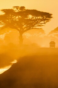 A year on African roads: patience, gratitude, perspective