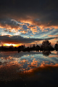 Como especie mental, el hombre se ha debatido siempre entre ambos extremos de la realidad de lo existente, confinado a este orbe de amaneceres y ocasos