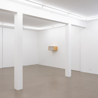 Henrik Håkansson, An ideal for living (The insect societies, prototype), exhibition view. Courtesy of Meyer Riegger Gallery